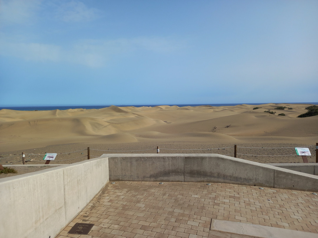 Reserva Natural Especial de Las Dunas de Maspalomas-马斯帕洛马斯必去景点