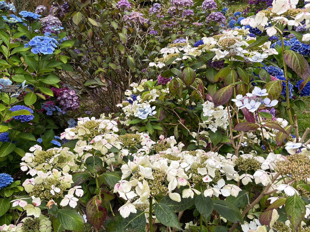 Jardin Shamrock-Varengeville-sur-Mer必去景点