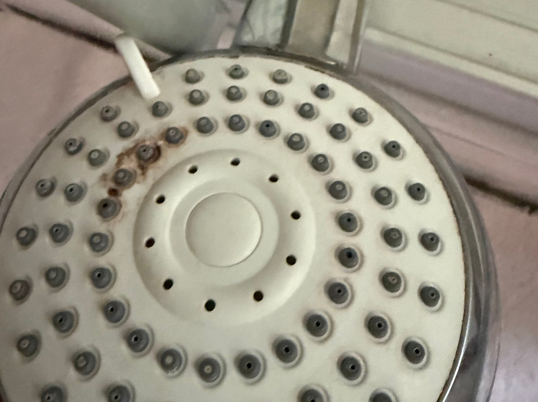 拉茨旅馆主图