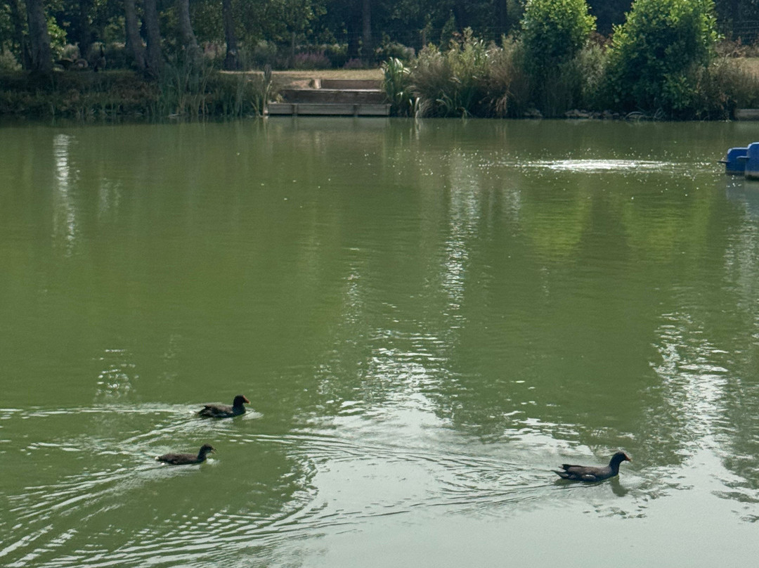 Burton Springs Fishing and Holidays-布里奇沃特必去景点