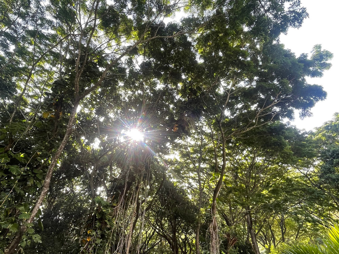Spirit of Ceylon Retreat