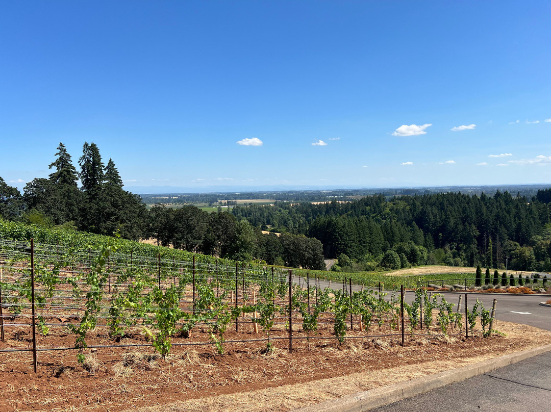 Archery Summit Winery-Dayton必去景点
