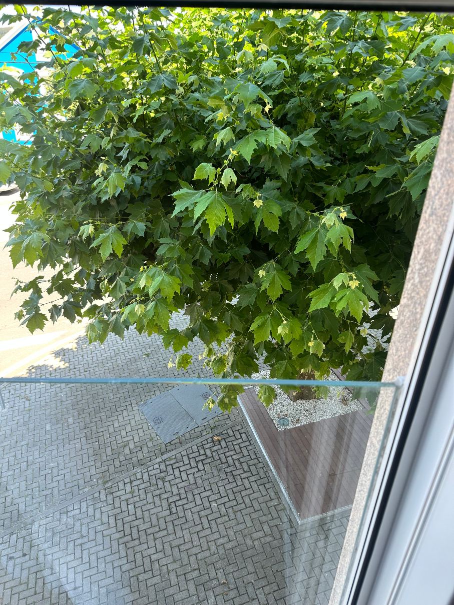 卡萨菊里奥酒店-旅行者