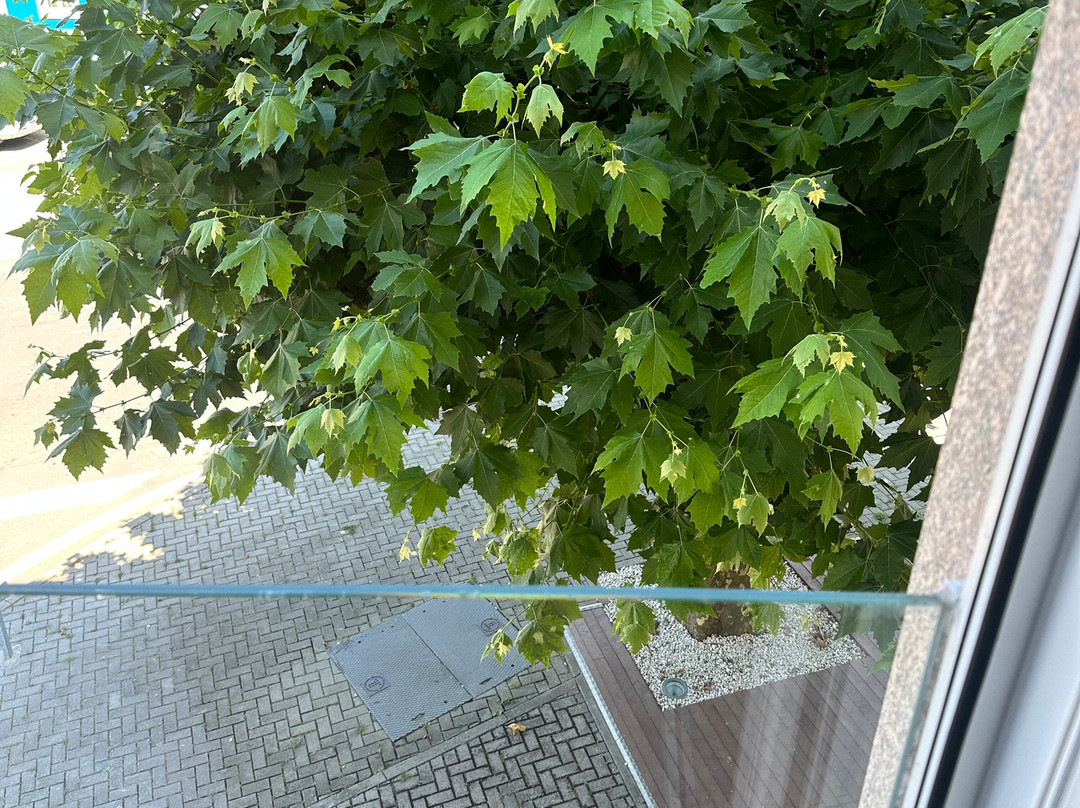 卡萨菊里奥酒店主图