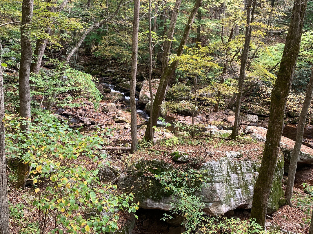 Cascade Falls-Pembroke必去景点
