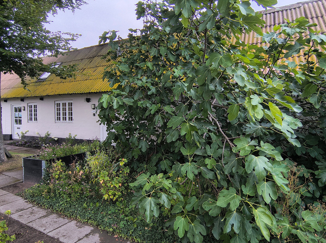 Hotel Blomme's Place主图