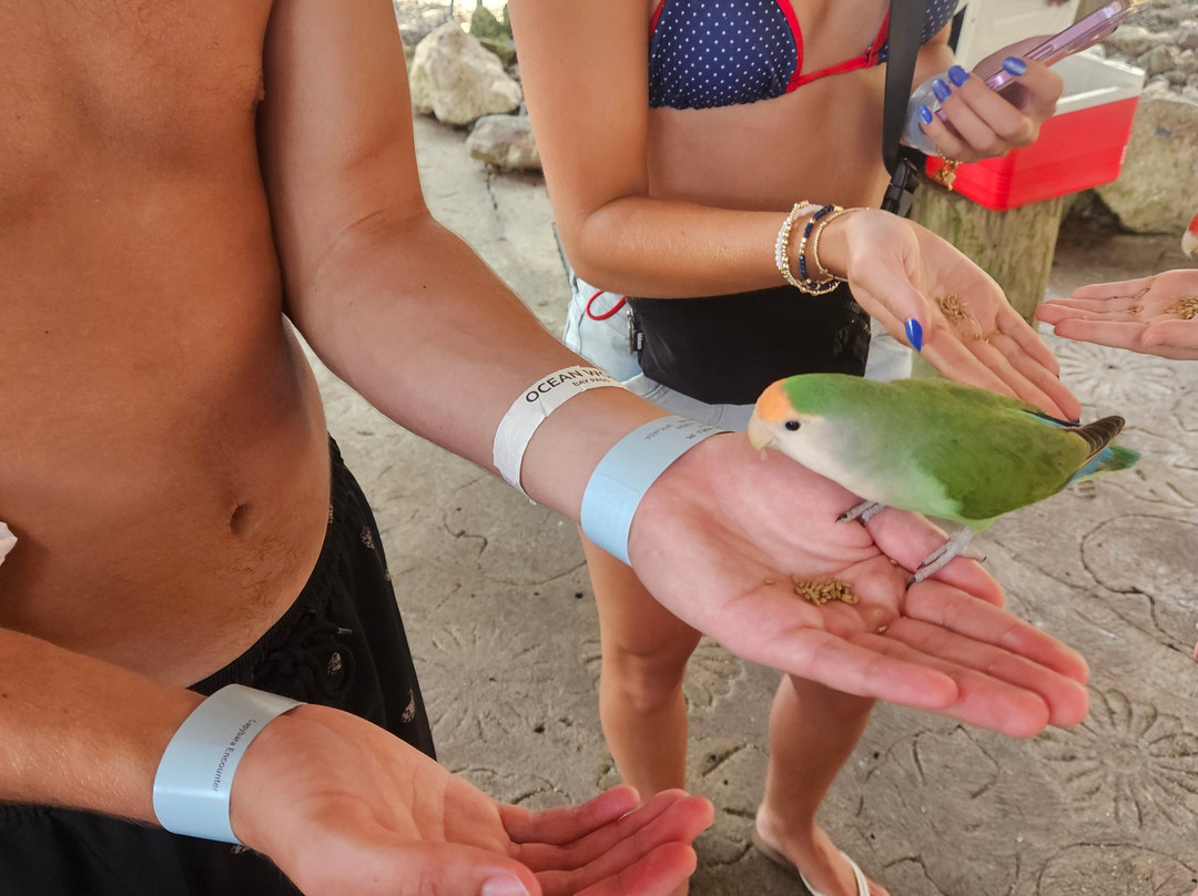 Ocean World Adventure Park, Puerto Plata-普拉塔港必去景点