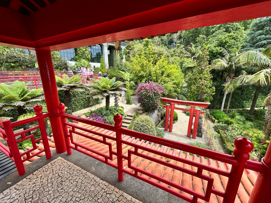 Monte Palace Madeira-沙尔必去景点