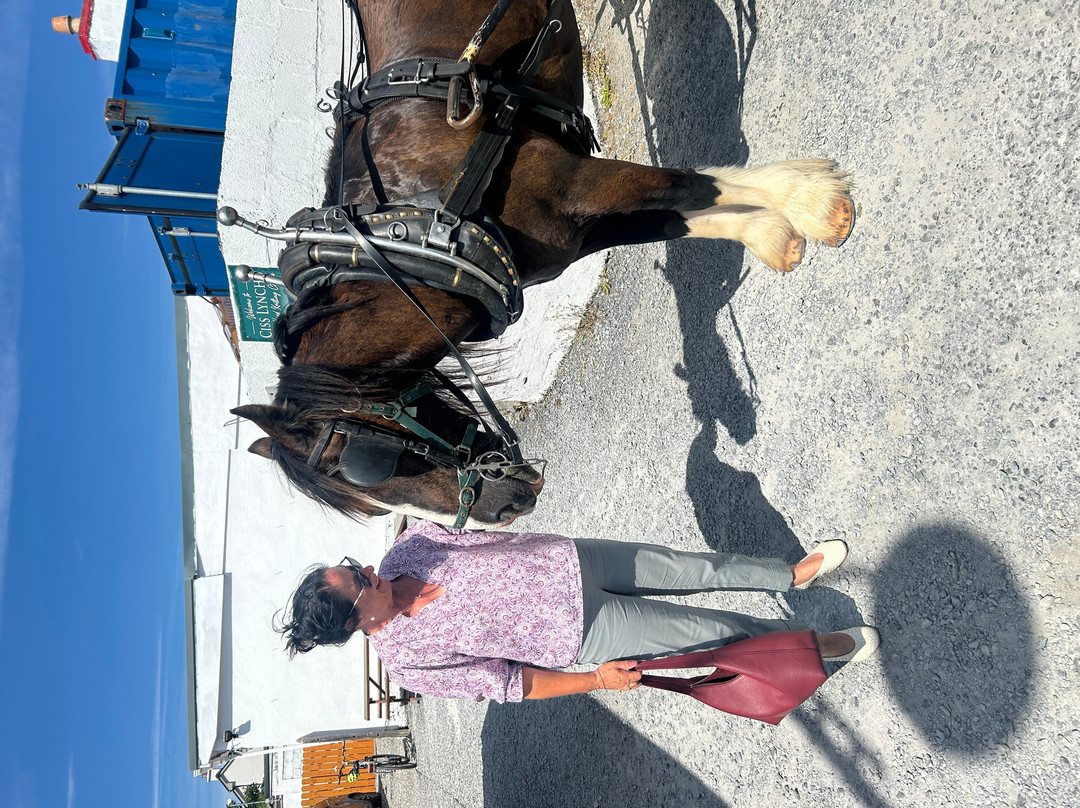 Thomas Faherty Tours-Inishmore必去景点