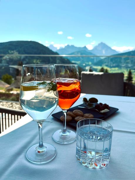Hotel Alpen Tesitin-旅行者