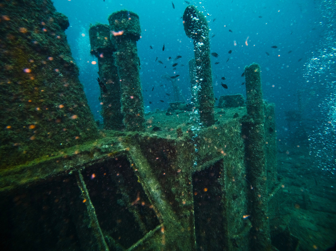 Diving Center Mihuric-塞尔赛必去景点