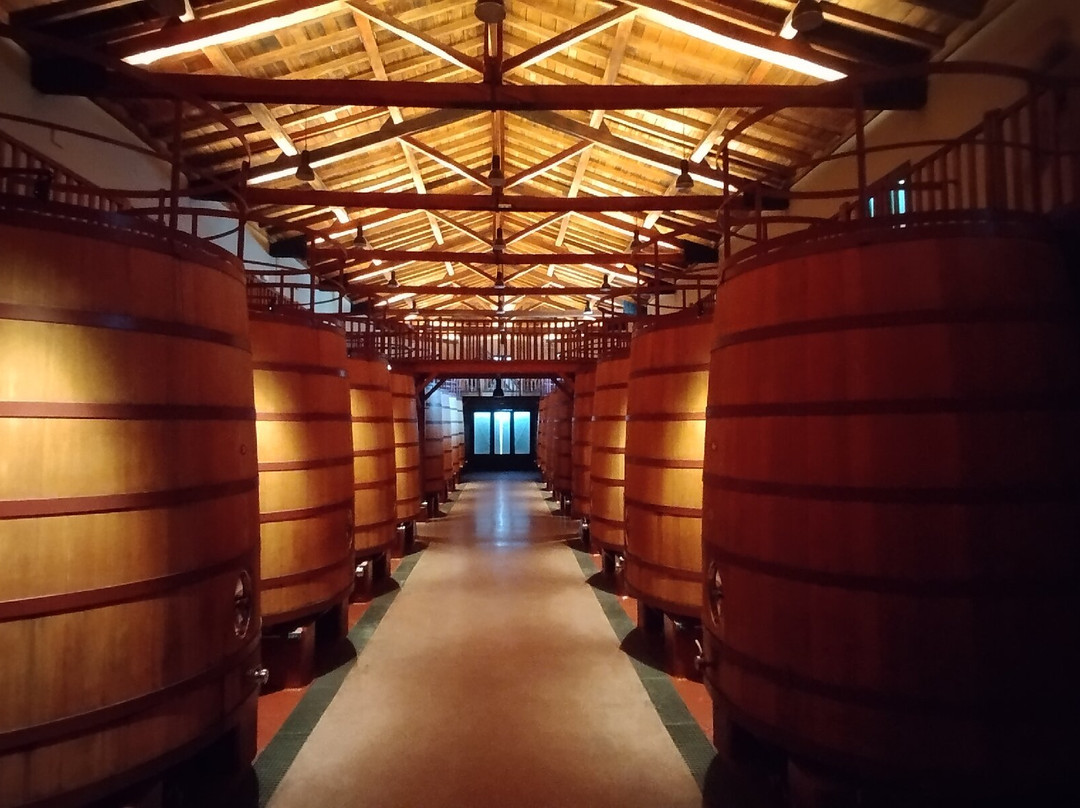 Bodegas Roda-哈罗必去景点