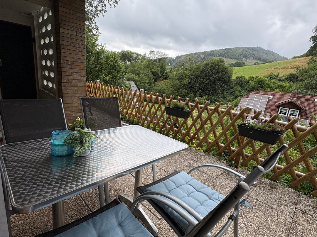 Hirschblick Apartments Willingen