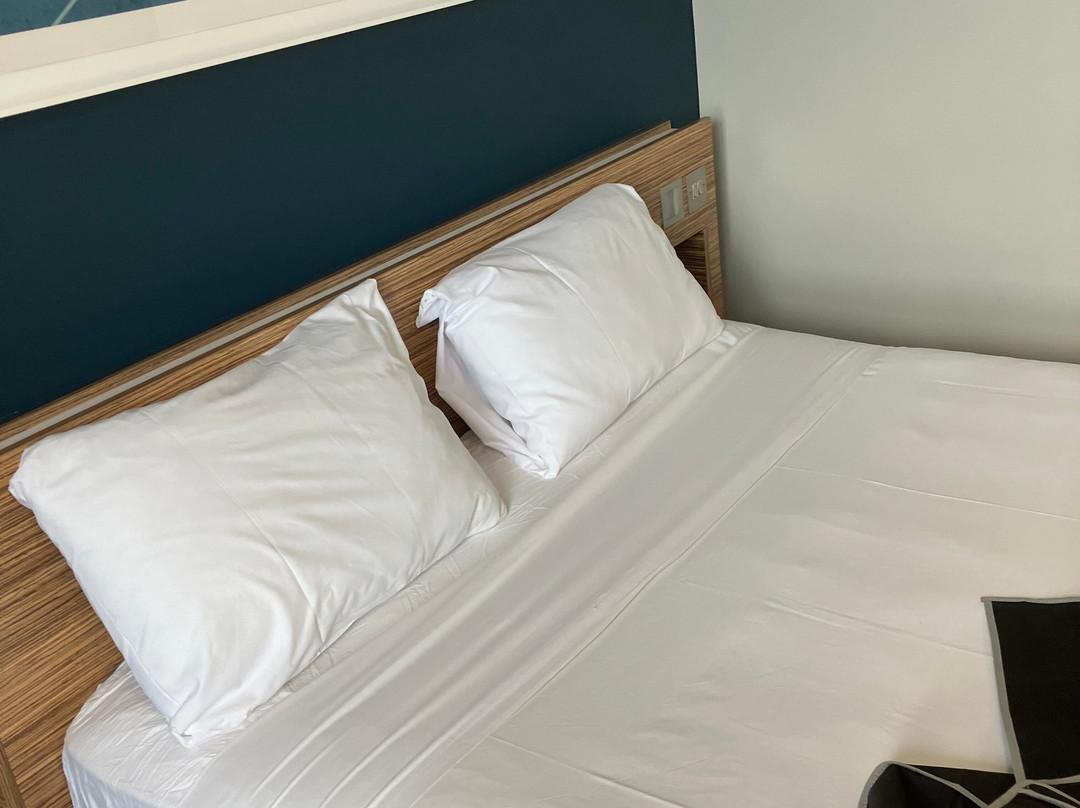惠灵顿萨默塞特旅屋酒店主图