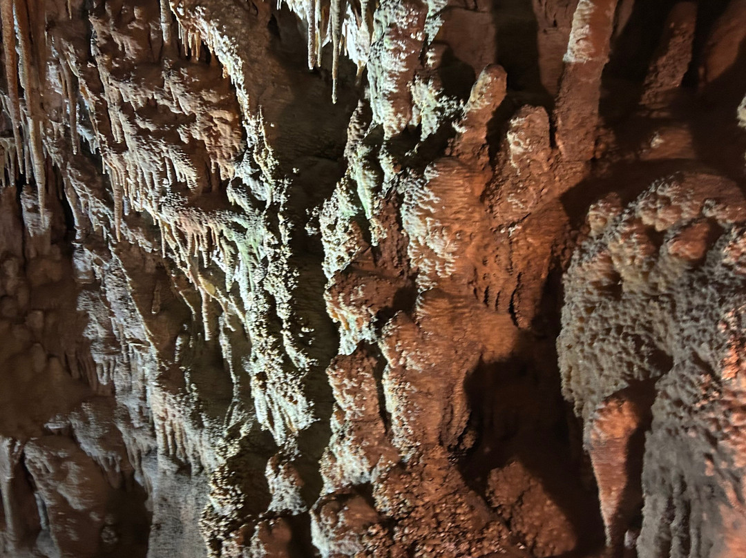Grotta del Trullo-Putignano必去景点