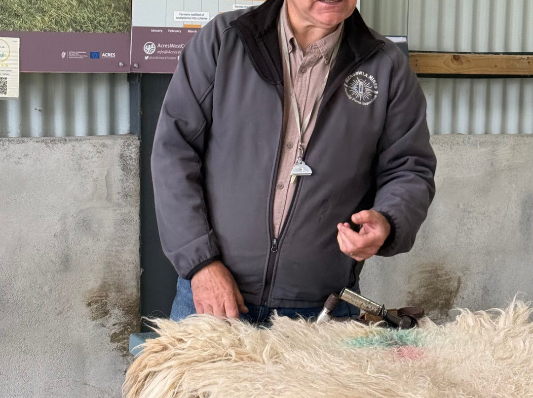 Glengowla Mines & Family Farm Experience-Oughterard必去景点