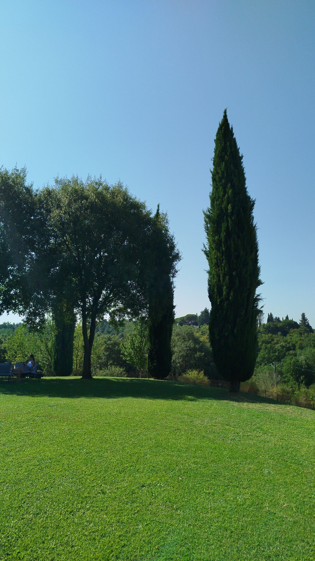 San Carlo a la Molinella-旅行者