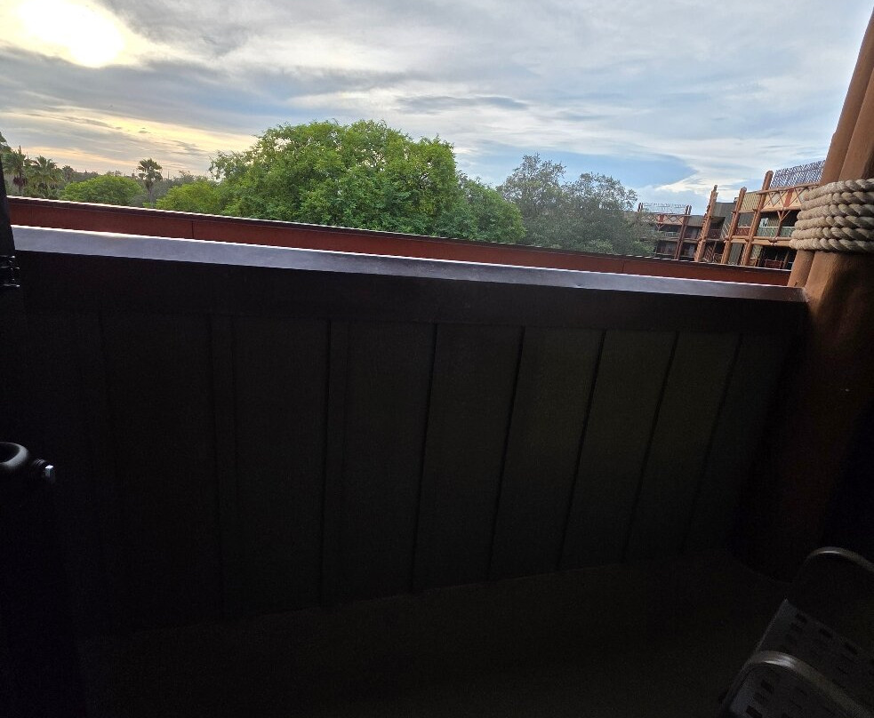 迪士尼动物王国小屋主图