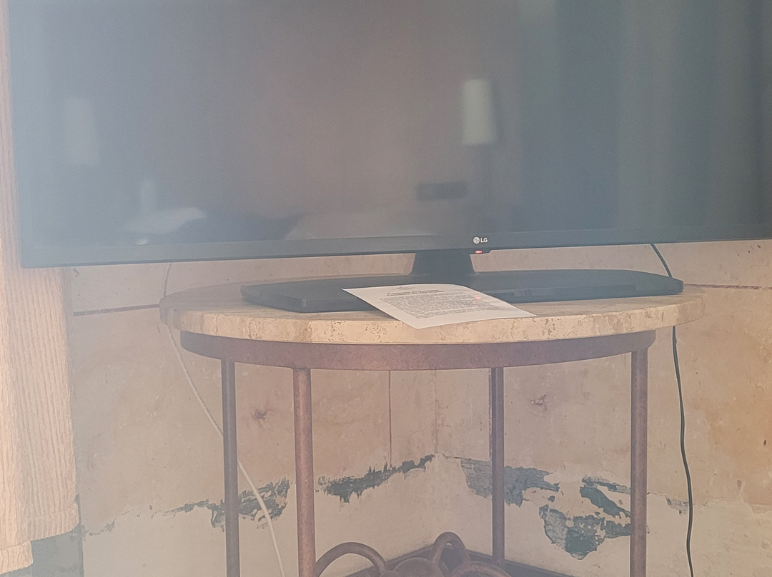 维拉维索萨修道院酒店-历史酒店主图
