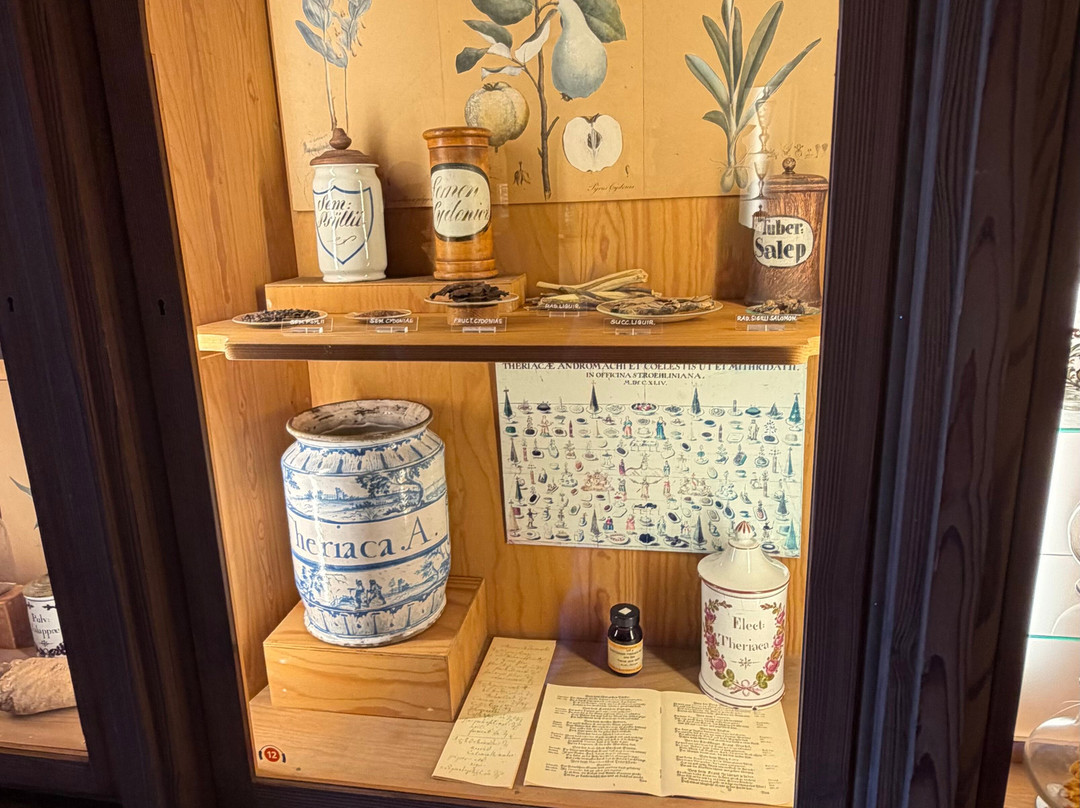 German Pharmacy Museum-海德尔堡必去景点