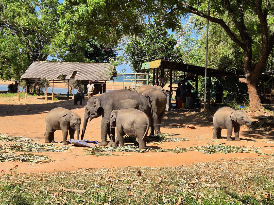 Rock Lanka Tours-Ja Ela必去景点