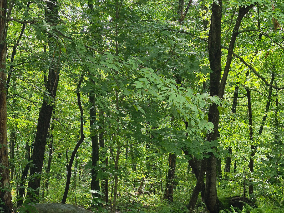 Lakota Wolf Preserve-Columbia必去景点