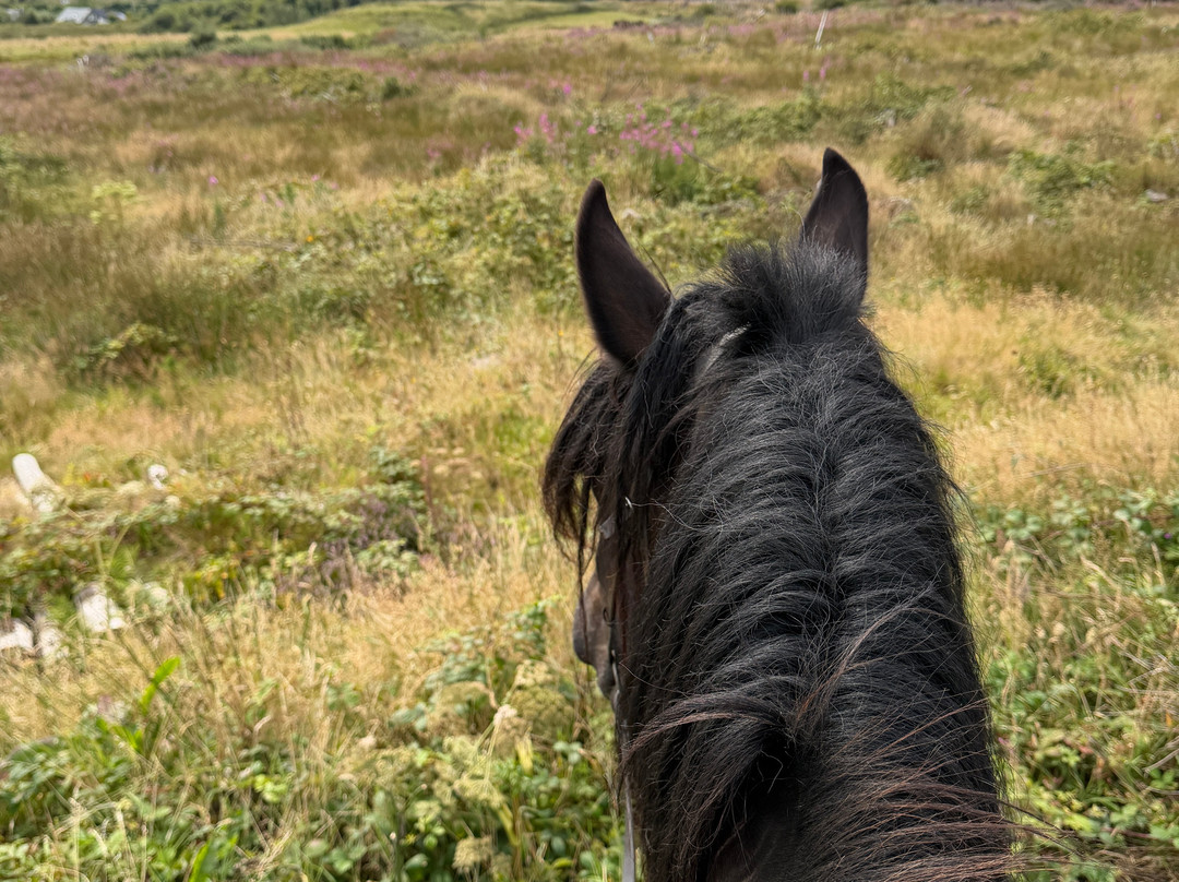 Mountain View Horse Riding Centre-Lisdoonvarna必去景点