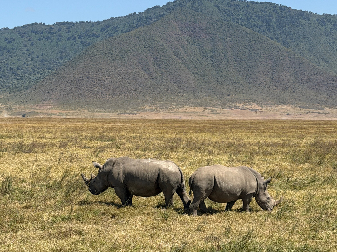 Tanzania-Experience-阿鲁沙必去景点