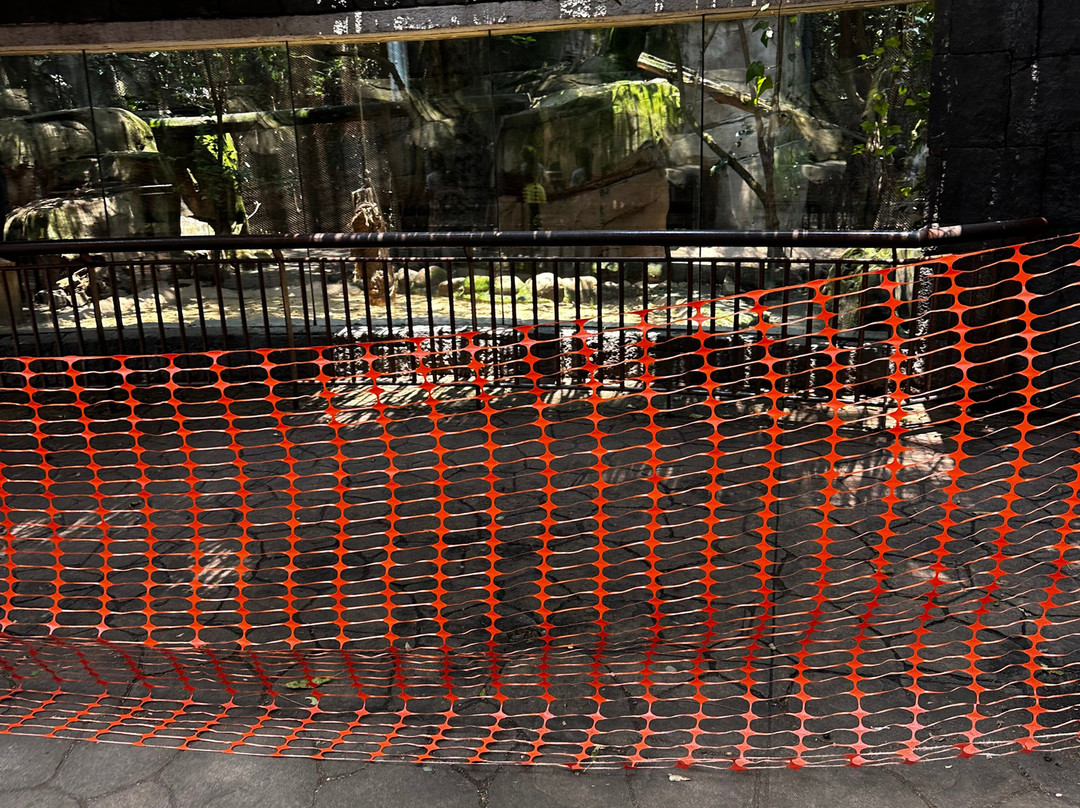 Zoológico de Chapultepec-墨西哥城必去景点