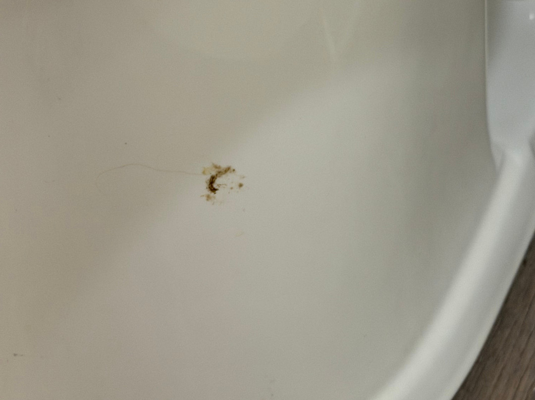 克莱门森湖畔旅馆主图
