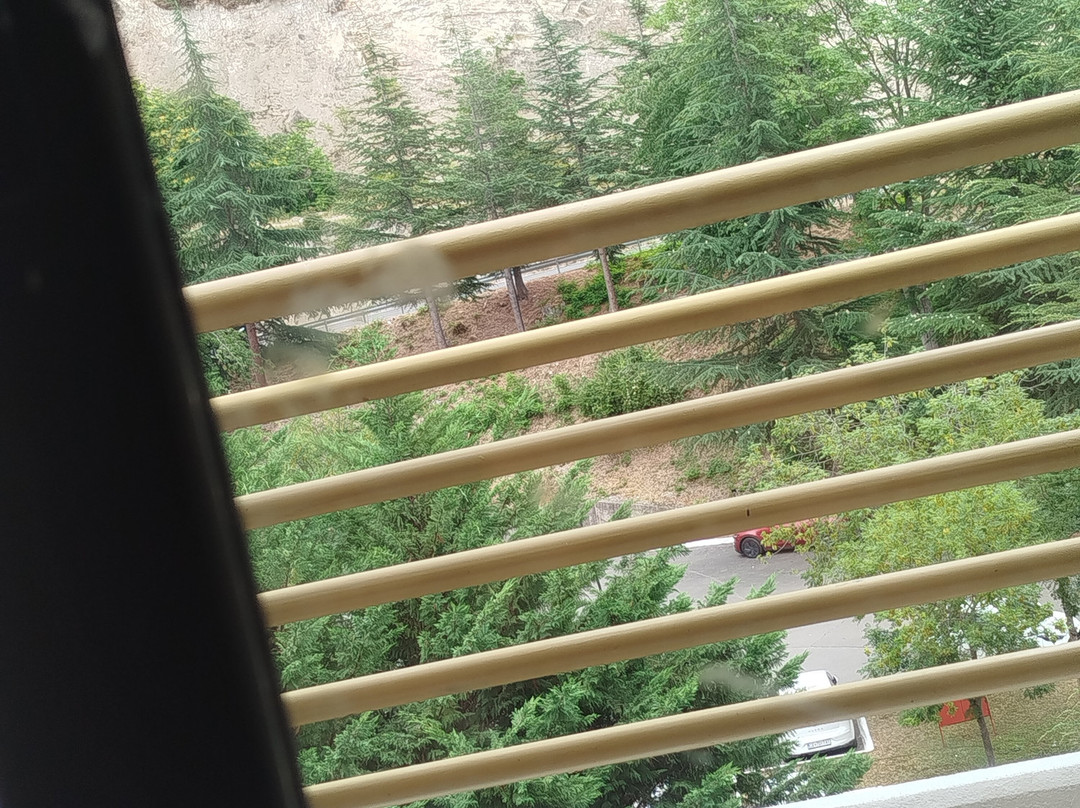 Hotel Bellevue主图