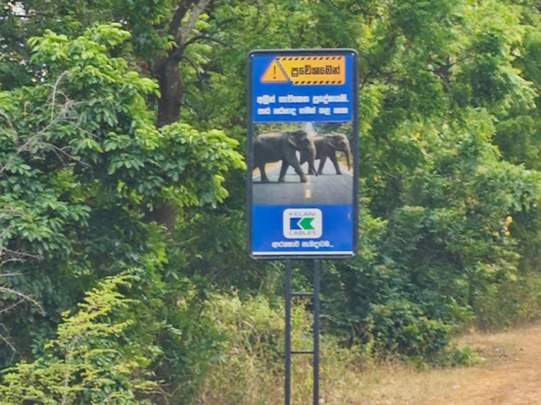 Dim Tours Sri Lanka-班托塔必去景点