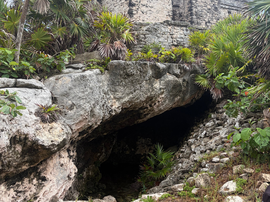 Vive Mayan Tours-普拉亚德尔卡曼必去景点