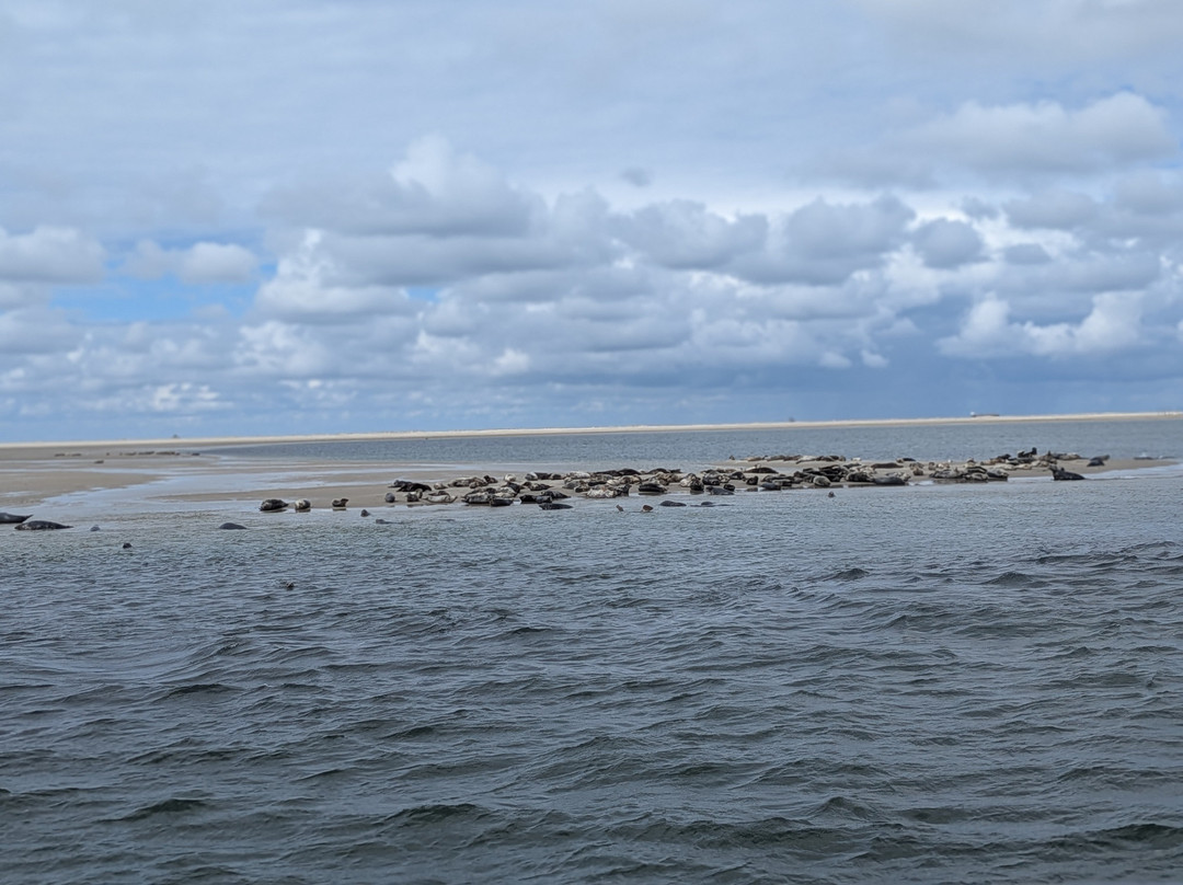 Waddenveer De Vriendschap-De Cocksdorp必去景点