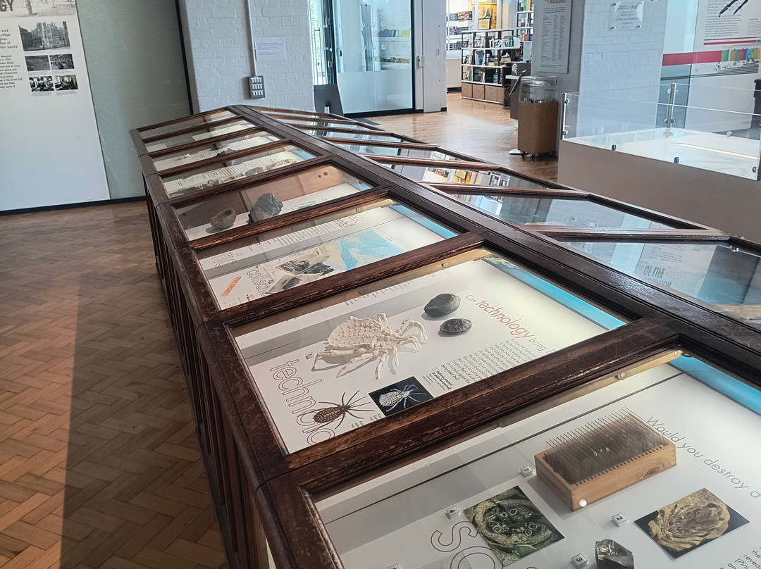 Lapworth Museum of Geology-伯明翰必去景点