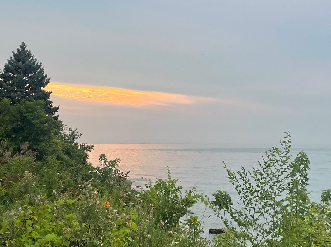Mill Hollow-Bacon Woods Memorial Park-Vermilion必去景点
