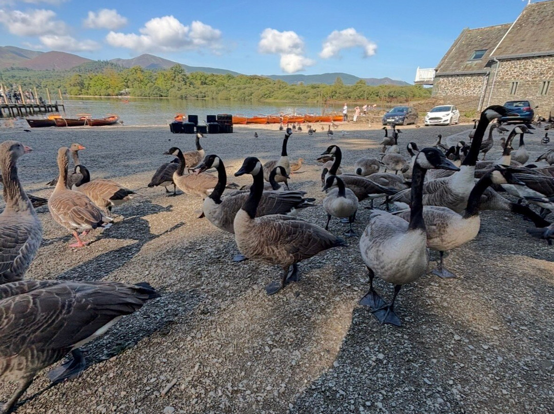 Keswick Launch on Derwentwater-凯瑟克必去景点