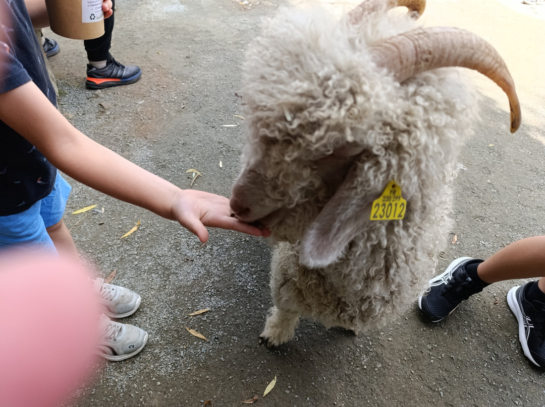 ZooParc de Trégomeur-Tregomeur必去景点