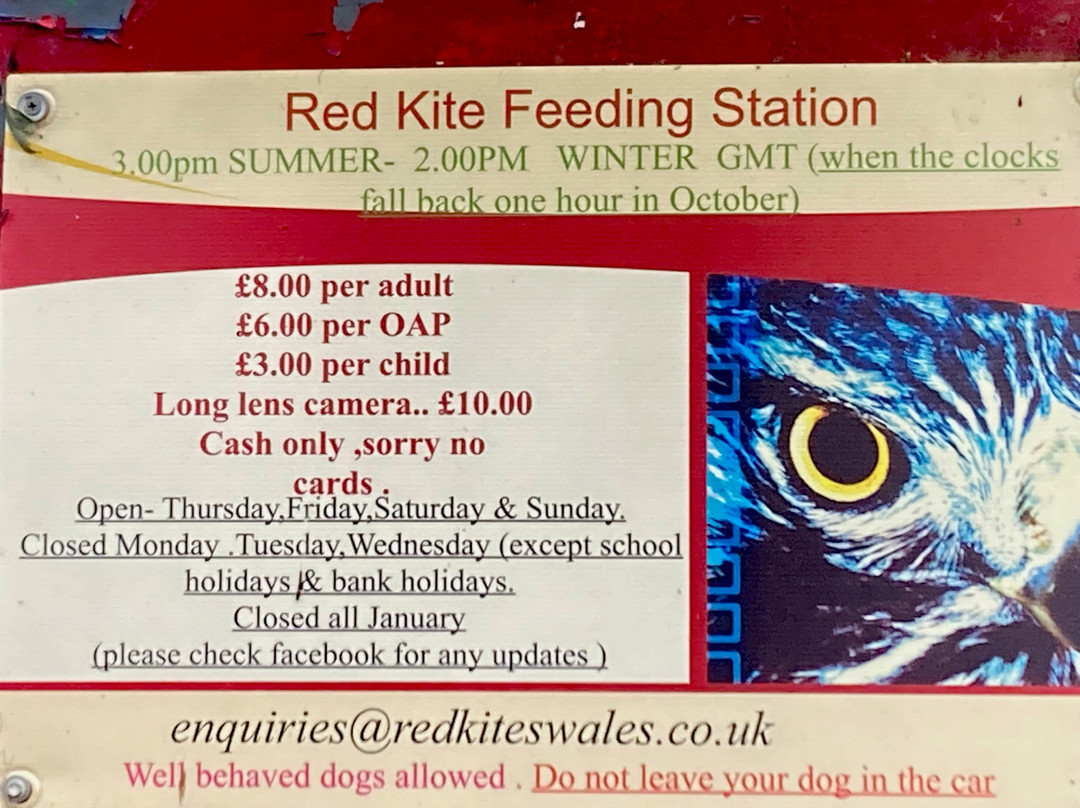 Red Kite Feeding Station, Llanddeusant-Llanddeusant必去景点