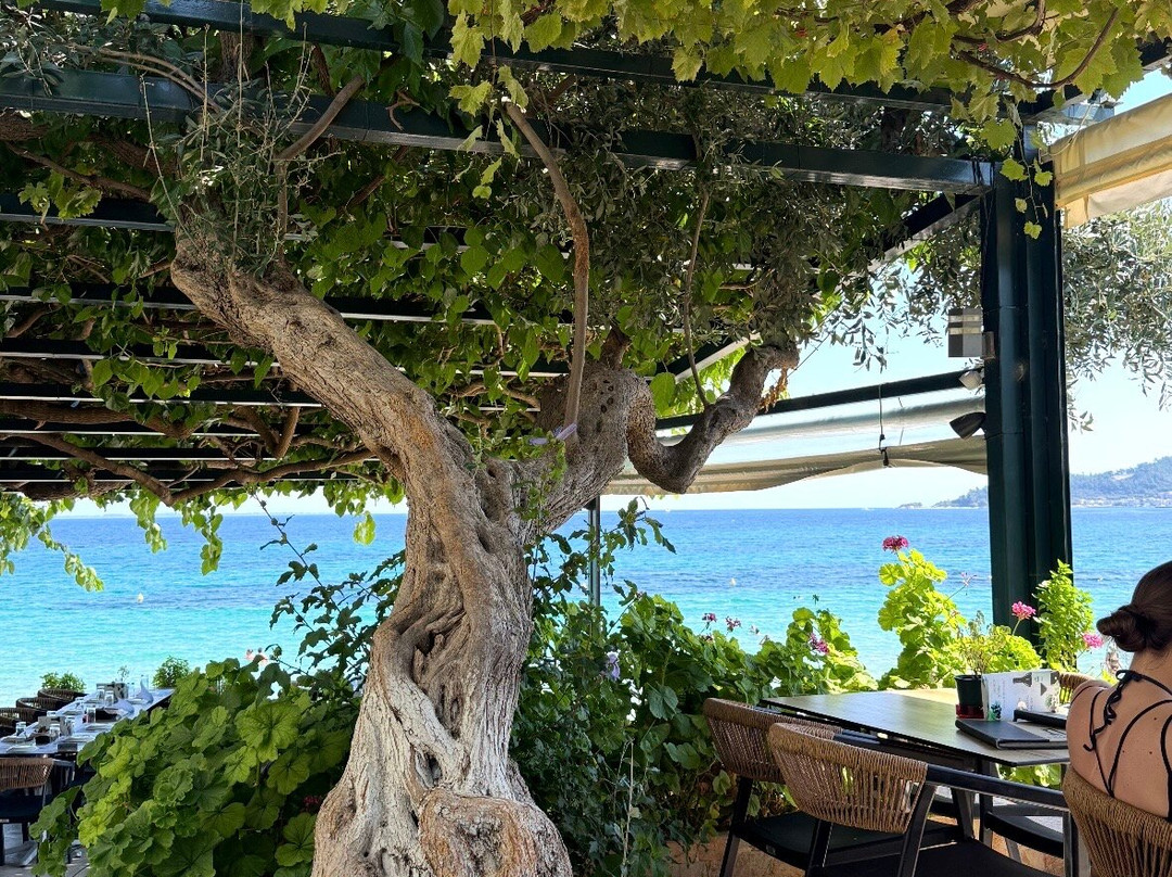 Nisteri Beach Hotel Villa主图