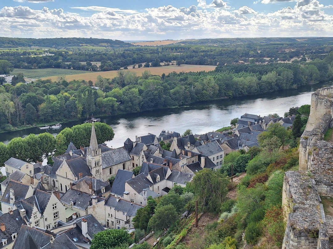 Forteresse Royale De Chinon-希农必去景点