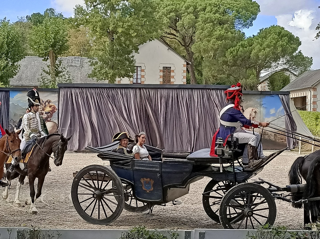 Haras De La Vendée-La Roche-sur-Yon必去景点
