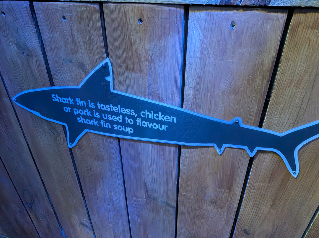 SEA LIFE Hunstanton-Hunstanton必去景点