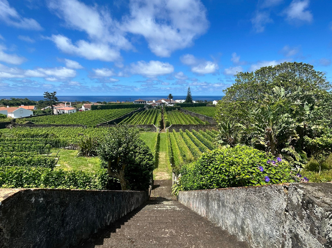 Quinta da Jardinete Vineyard-蓬塔德尔加达必去景点