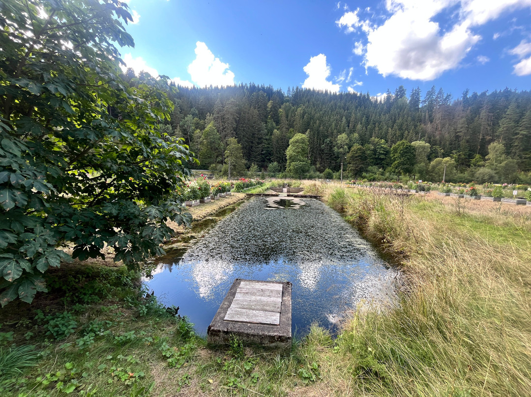 Botanical Garden Bečov nad Teplou-Becov nad Teplou必去景点