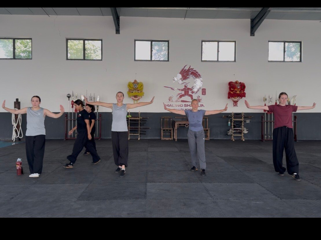 Maling Shaolin Kung Fu Academy-新沂市必去景点