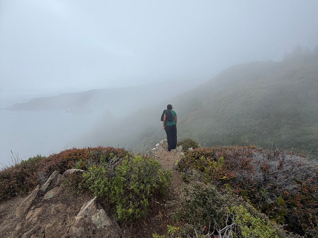Trinidad State Beach-Trinidad必去景点