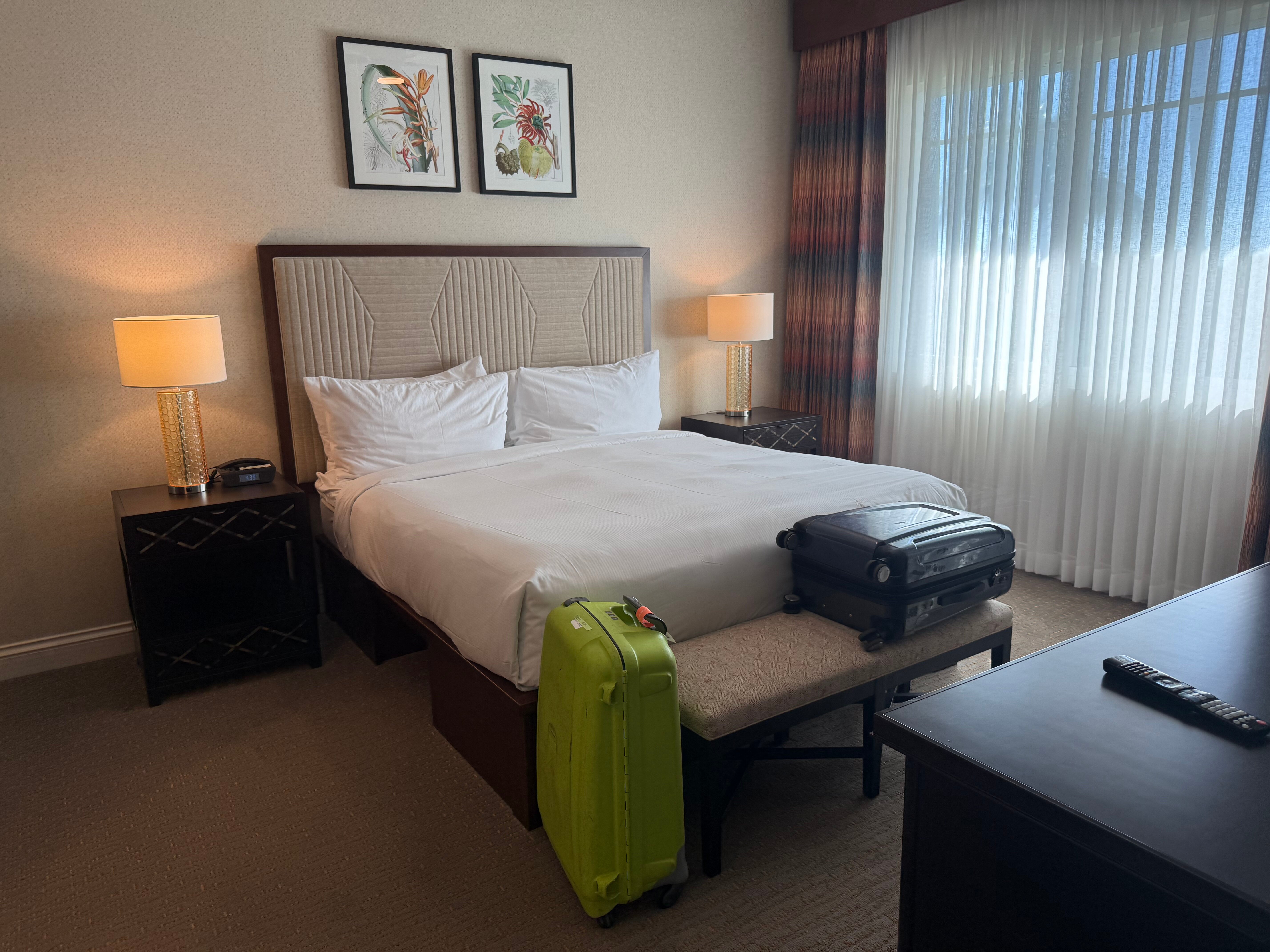金斯兰德希尔顿分时度假俱乐部-旅行者