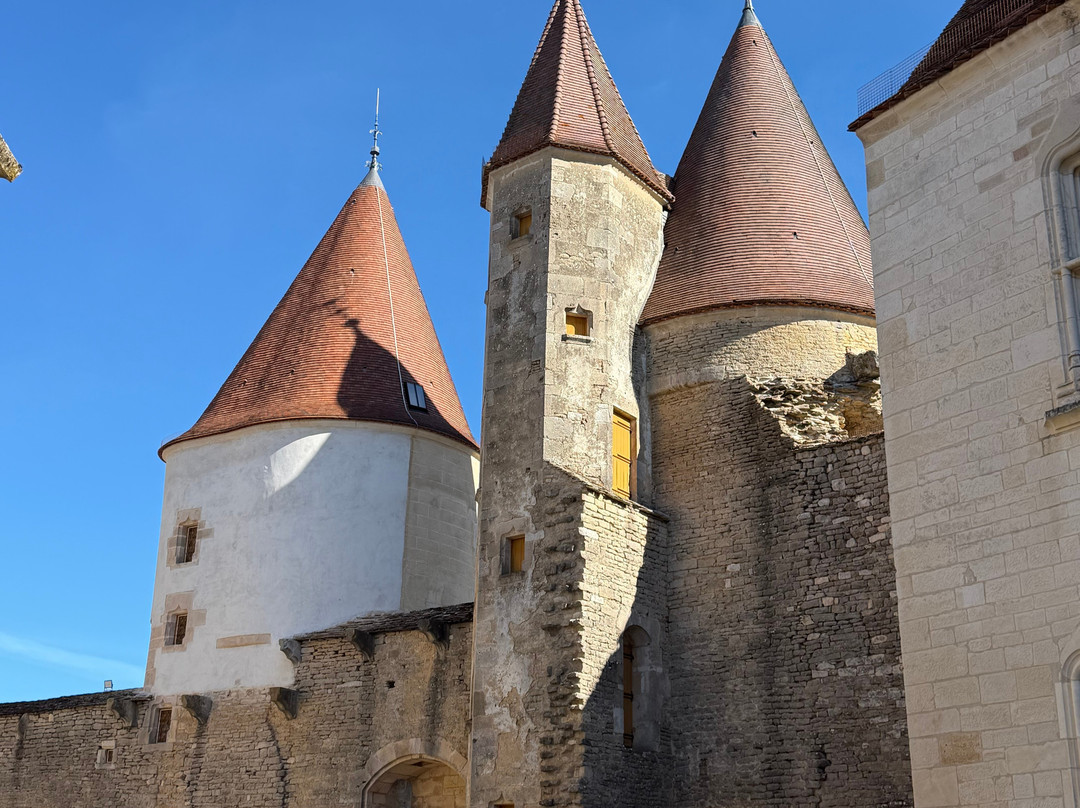 Chateau de Châteauneuf-en-Auxois-Chateauneuf必去景点
