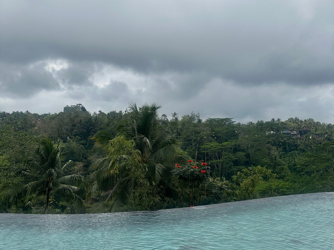 Wanna Jungle Pool and Bar-佩艳艮必去景点
